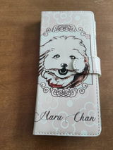 真保美 内海 review photo