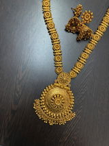 Rashi Chandra review photo