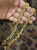 Bindu Roy review photo