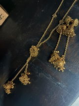 Gitanjali Trivedi review photo