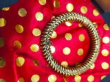 Saroja Joshi review photo