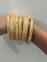 Akanksha Rajput review photo