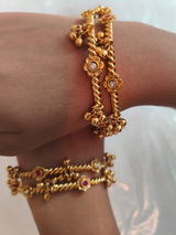 Geetanjali Parekh review photo