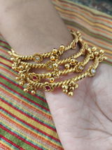 Gauri Desai review photo