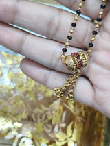 Krishna Chopra review photo