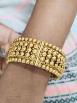 Jyoti Mahajan review photo