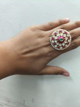 Avni Naidu review photo