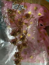 Brishti Mehra review photo