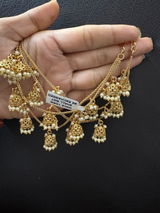 Aradhya Joshi review photo