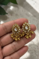 Vanya Trivedi review photo