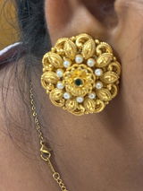 Breshna Parekh review photo