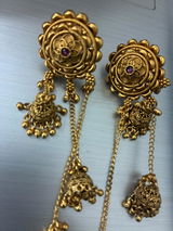 Brishti Rao review photo