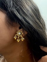 Chavi Puri review photo