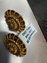 Ojasvini Chatterjee review photo