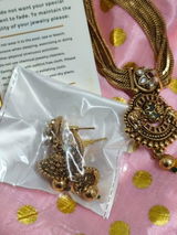 Dhvani Dani review photo
