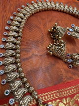 Arya Basu review photo