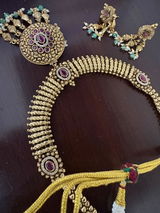 Damini Bhattacharya review photo