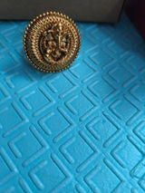 Raina Kurian review photo