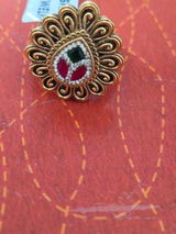 Riddhi Dwivedi review photo