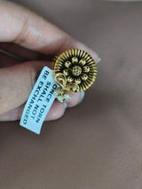 Srishti Kanitkar review photo
