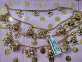 Mishika Krishnan review photo