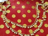 Geetika Kanjilal review photo