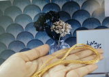 Devansh Viswanathan review photo