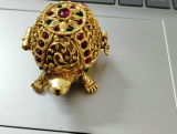 Abhinav Coelho review photo