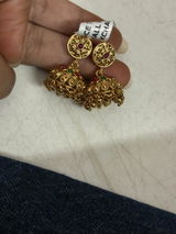 Radhika Acharya review photo