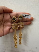 Ojasvi Abraham review photo