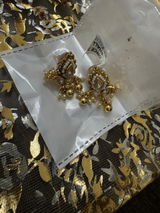 Aratrika Raman review photo