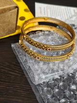 Sowmya Anand review photo