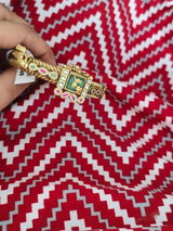 Avni Mitter review photo