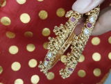 Radhika Karnik review photo