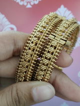 Bidisha Arya review photo
