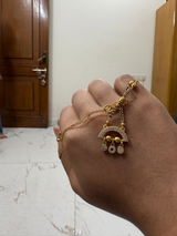 Vikas Kari review photo