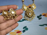 Revati Chaudhry review photo