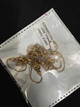 Lipi Ramesh review photo