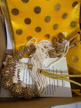 Aayushi Jain review photo