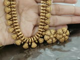 Anvi Swaminathan review photo
