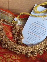 Vrishti Doshi review photo