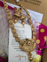 Tisya Vohra review photo
