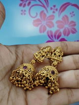 Shaurya Bhatia review photo