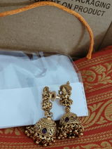 Aishani Roy review photo