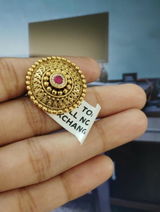 Padmini Nair review photo