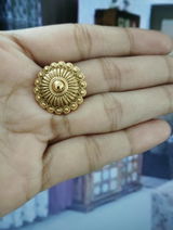 Anushree Iyer review photo