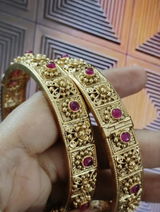 Sharmila Bose review photo