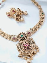 Vishwanath Iyer review photo