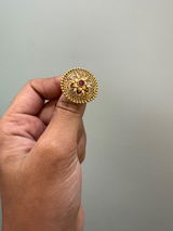 Gaurav Sharma review photo
