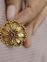 Rohit Nair review photo